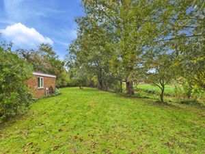 Rear Garden- click for photo gallery